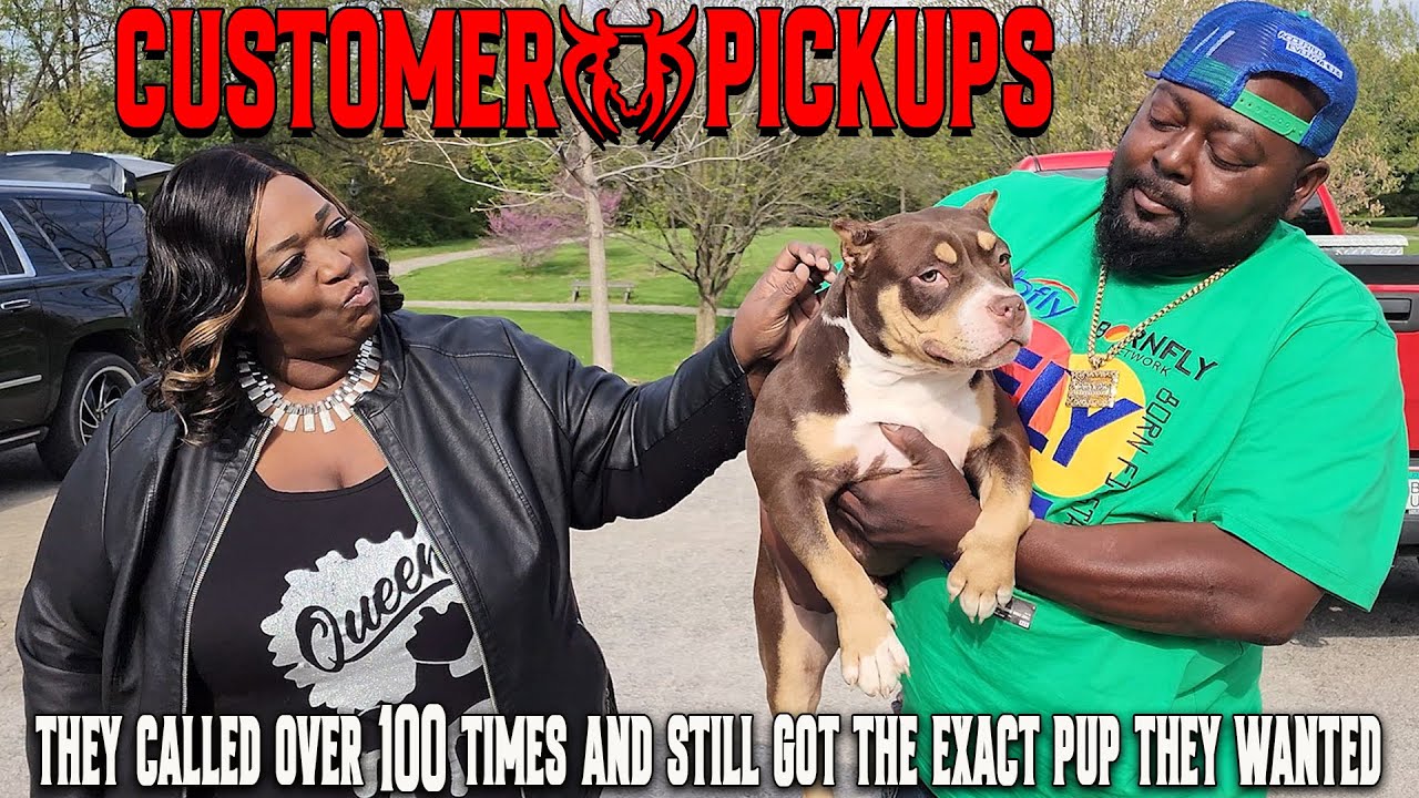 THEY WENT CRAZY!! PICKING UP THEIR AMERICAN BULLY PUPPY FROM THE WORLD