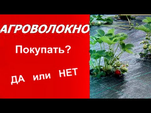 АГРОВОЛОКНО. ПОКУПАТЬ или НЕТ? Плюсы и минусы  агроволокна! КЛУБНИКА ОСЕНЬЮ