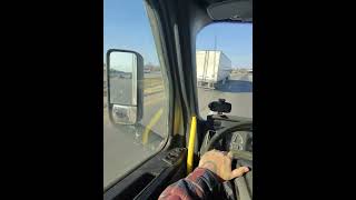 HE WANTS TO PLAY! Let's find out what kind of driver he is.