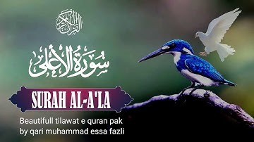 Surah Al-A'la (The Most High) | Qari MEssaFazli | سورة الأعلى | Beautiful Quran pak