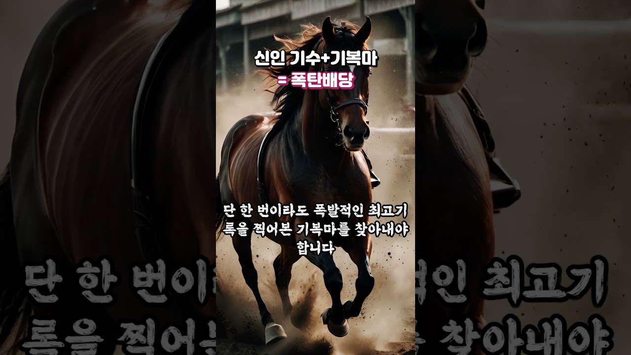 경마 신인 기수+ 기복마 = 폭탄 배당!