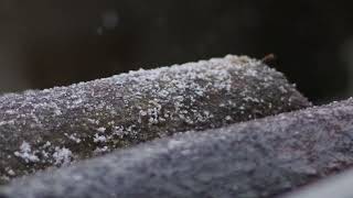 Top Calm Serene Ethereal Drifting Wintery Music 2024 🏔️ Frozen Frigid Blizzard