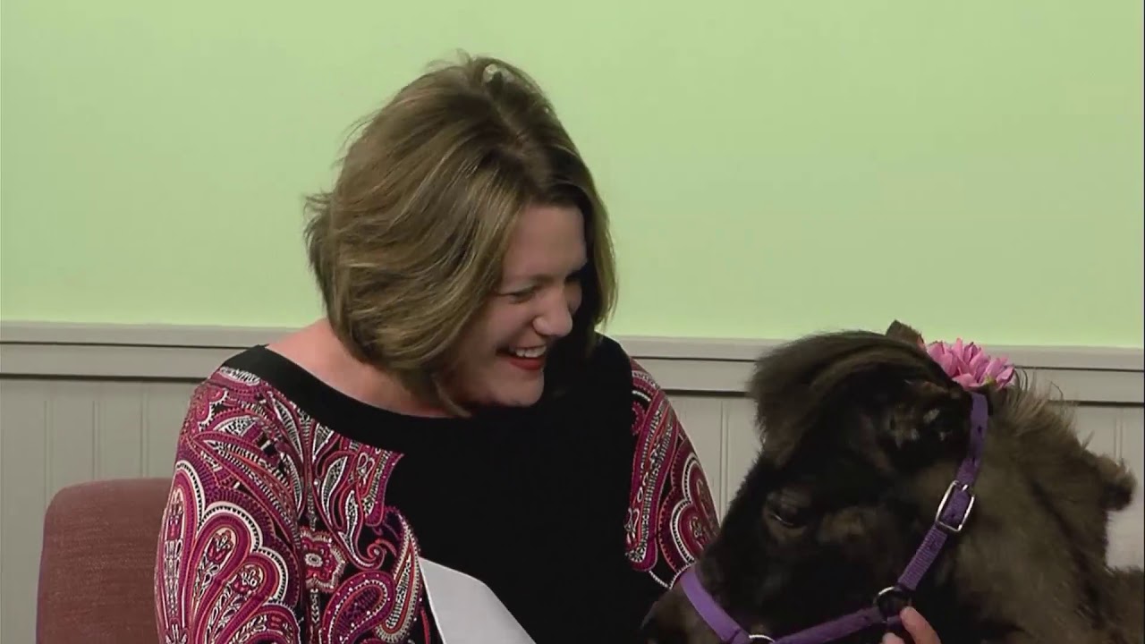 The Paw Report, Episode 909 - "Paw Classic - "Hooved" Companions"