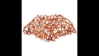 Rupture of the Gastrointestinal Tract - 1444