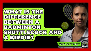What Is The Difference Between A Badminton Shuttlecock And A Birdie? - The Racket Xpert