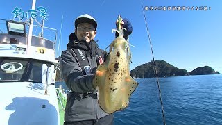 【釣り百景】#330 厳冬の三重県尾鷲湾でイカ三昧！