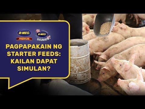 Video: Ano ang pagkakasunud-sunod ng bono ng n2 -?