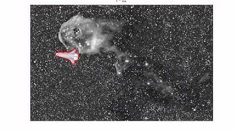 CPSC525: Object Tracking in Video Using Particle Filtering and Symmetry