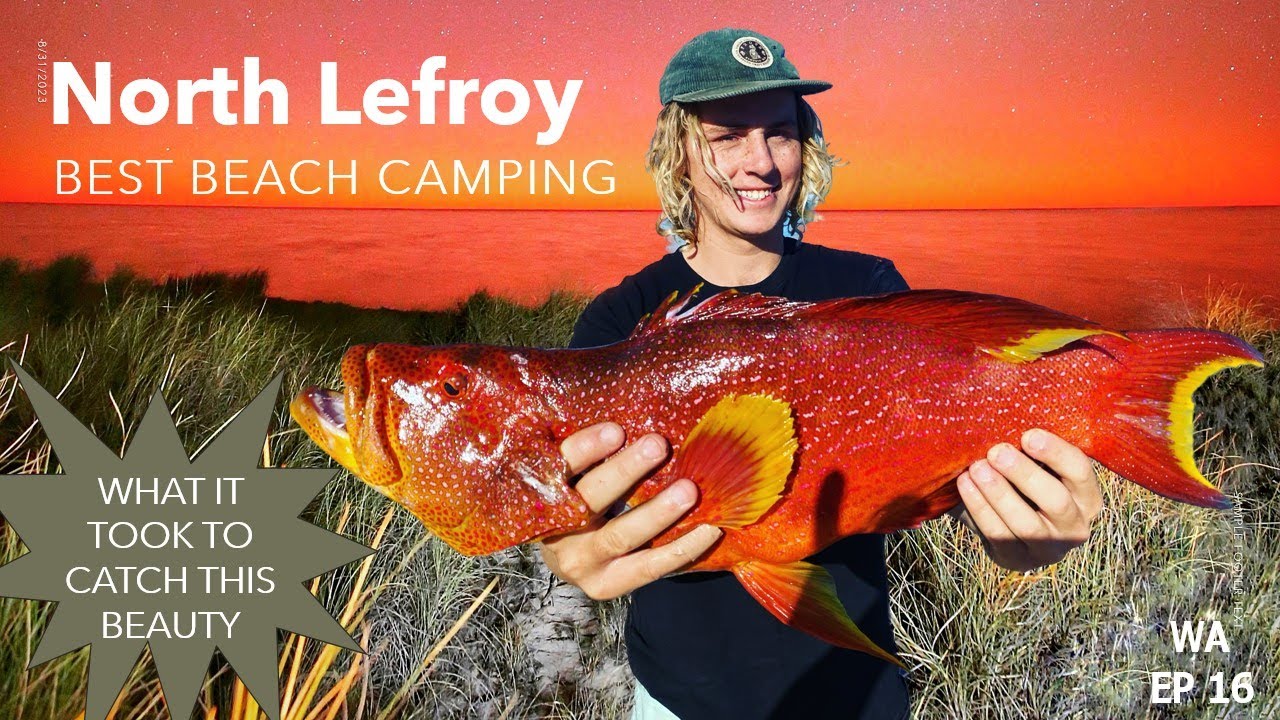 TINNY MAGIC! Find out what lurks beneath us at North Lefroy Ningaloo Reef WA Ep 16