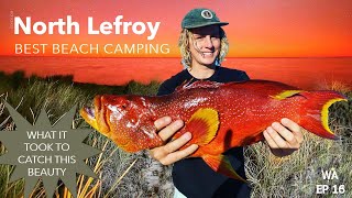 TINNY MAGIC! Find out what lurks beneath us at North Lefroy Ningaloo Reef WA Ep 16