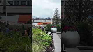 Please stand clear of the doors!✨🚝✨ National Monorail Day!✨ #disney #monorail #disneytransportation