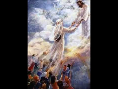 يسوع لما رانى اسرع الى