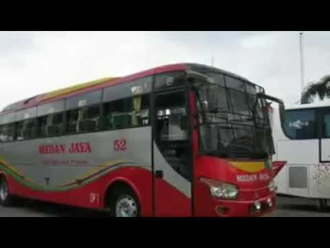lagu bus medan jaya viral