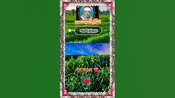 الشيخ||سيد سعيد #تلاوة_خاشعة #ستوري_قرآن