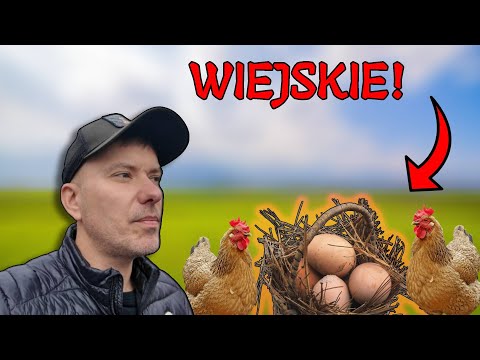 WHY CHOOSE COUNTRY FOOD?