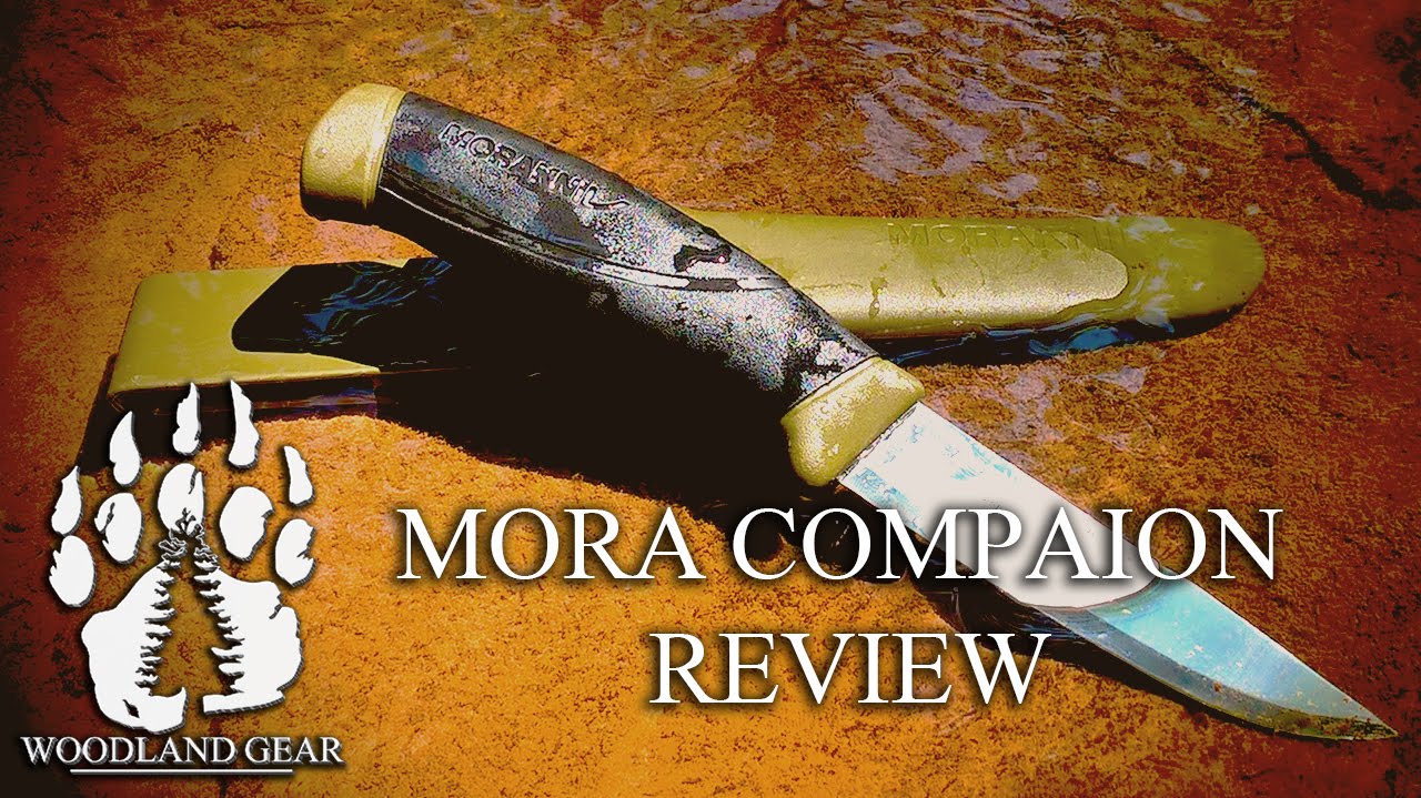 Mora Garberg Review: 18 Months of Professional Use 