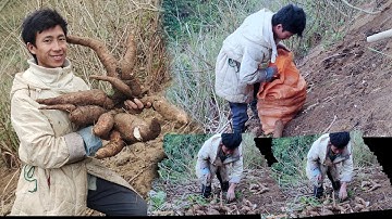 My Life Style| Khawb Qos Ntoo los Pub npua#mylifestyle #mycookingstyling