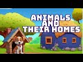 Animals and their homes for kids/Animal shelter for kids /| Home of animals / Animal homes