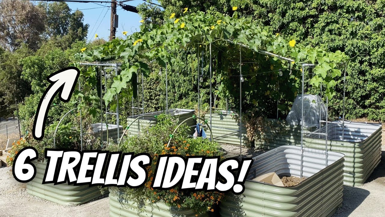 6 Plant Support Frames Made With EMT Conduit! - YouTube