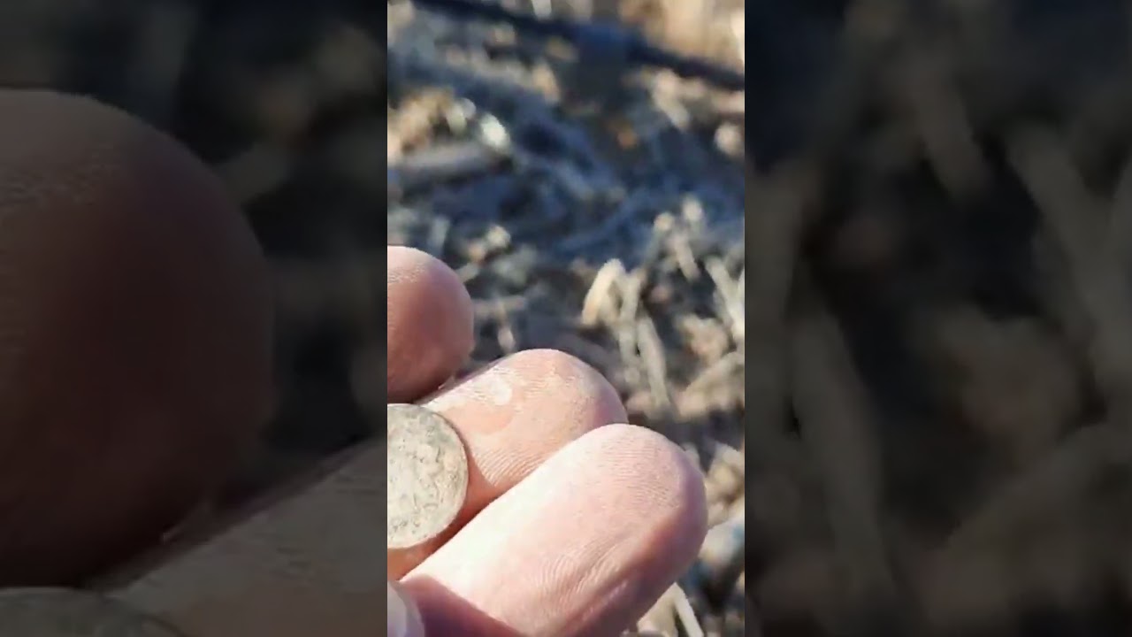 Insane Metal Detecting Find!