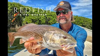 How to Fish for Redfish in Hot Weather | In The Spread Fishing Videos