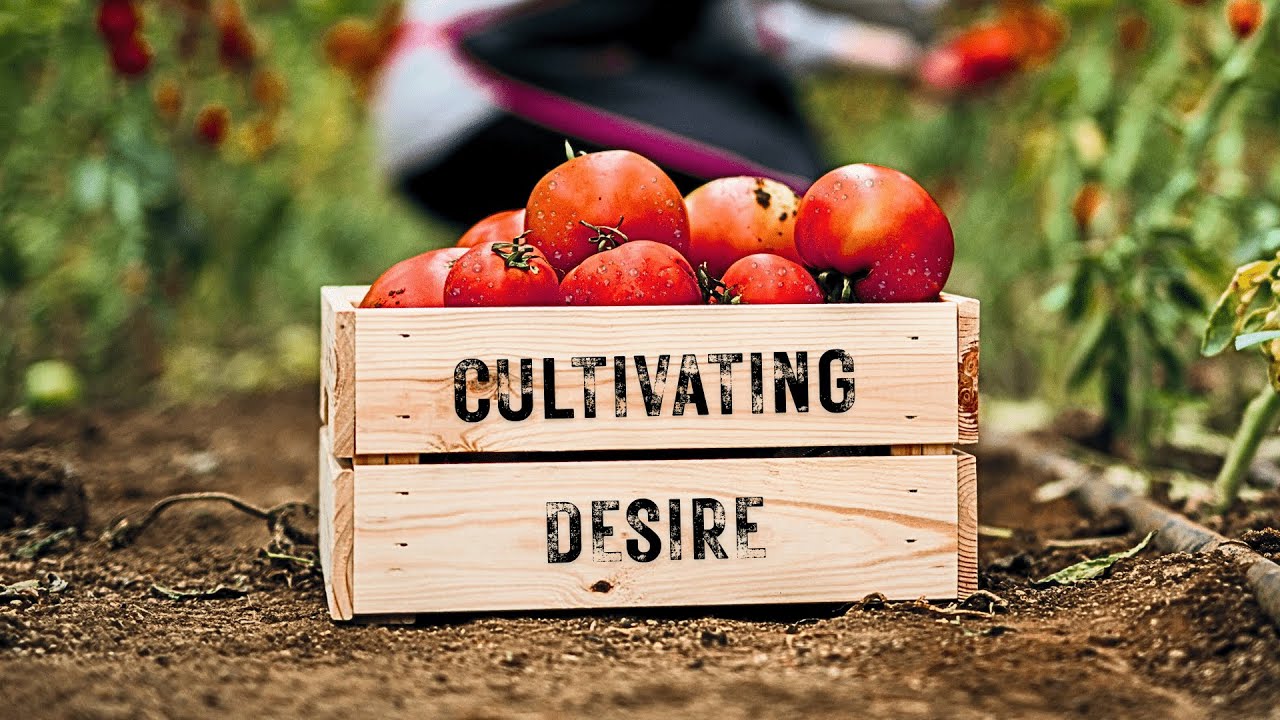 August 24th  - Worship Service | "Over-Desire"