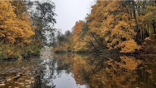 видео: На лодке в  картинка: На лодке в