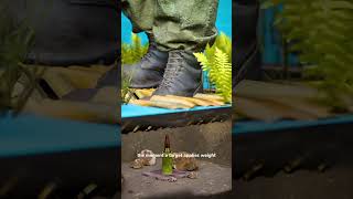 The Deadliest 'Invisible' Trap #shorts