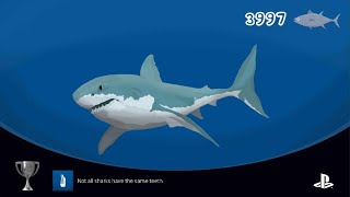 The Shark T Not All Sharks Have The Same Teeth Trophy