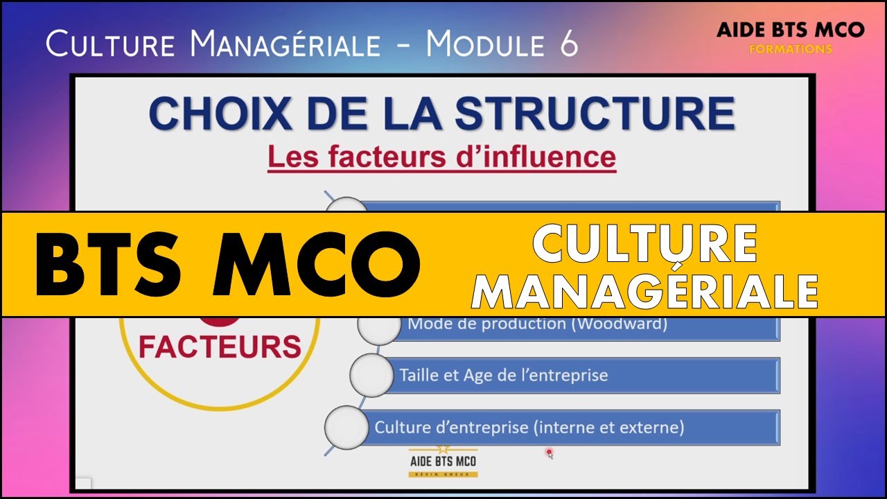 AIDE BTS MCO | Quelle structure d'entreprise choisir ? 5 facteurs d ...