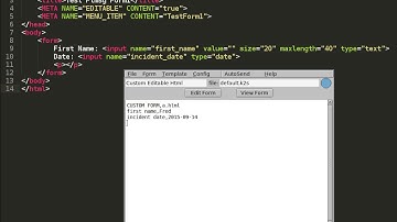 1 - FLMSG Basics of Custom HTML Forms