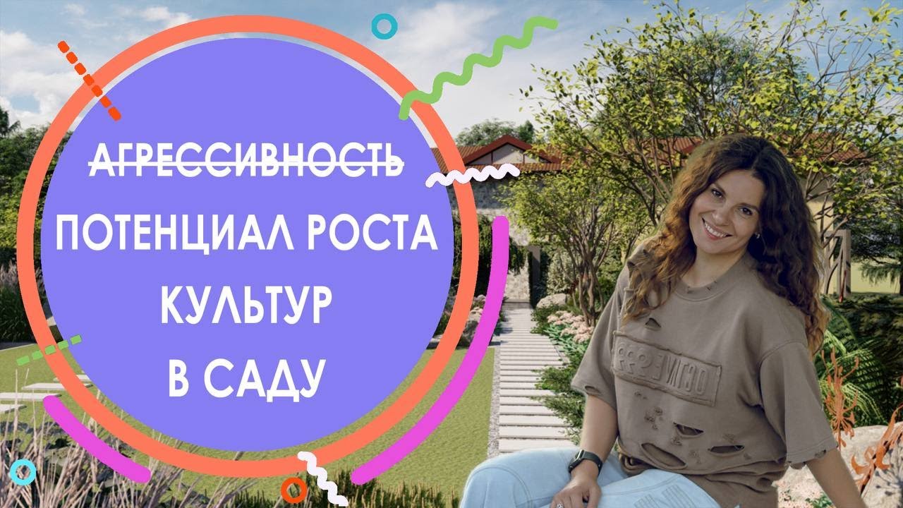 Агрессивность и потенциал роста многолетников и кустарников в саду на примере сада, которому 2 года
