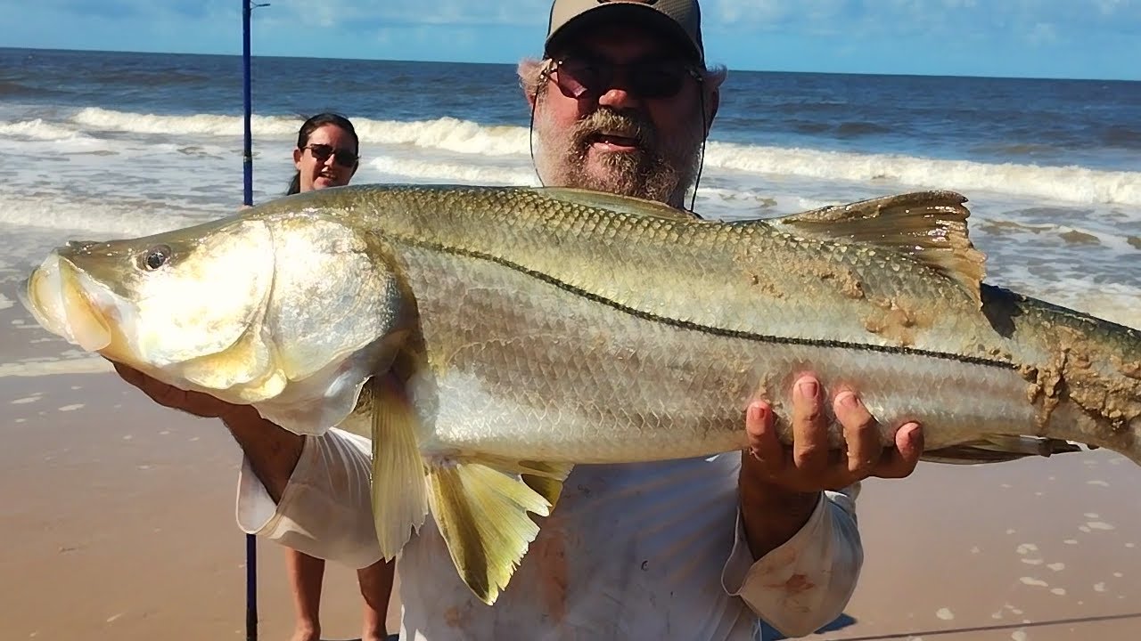 ROBALO GIGANTE NA PESCA DE PRAIA