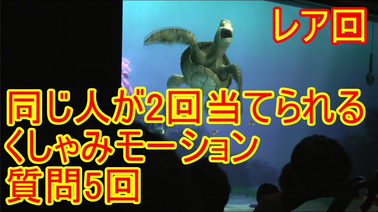 レア回 同じ人が2回当てられる くしゃみモーション 質問5回 タートルトーク 東京ディズニーシー Youtube レア回 同じ人が2回当てられる くしゃみモーション 質問5回 タートルトーク 東京ディズニーシー Youtube