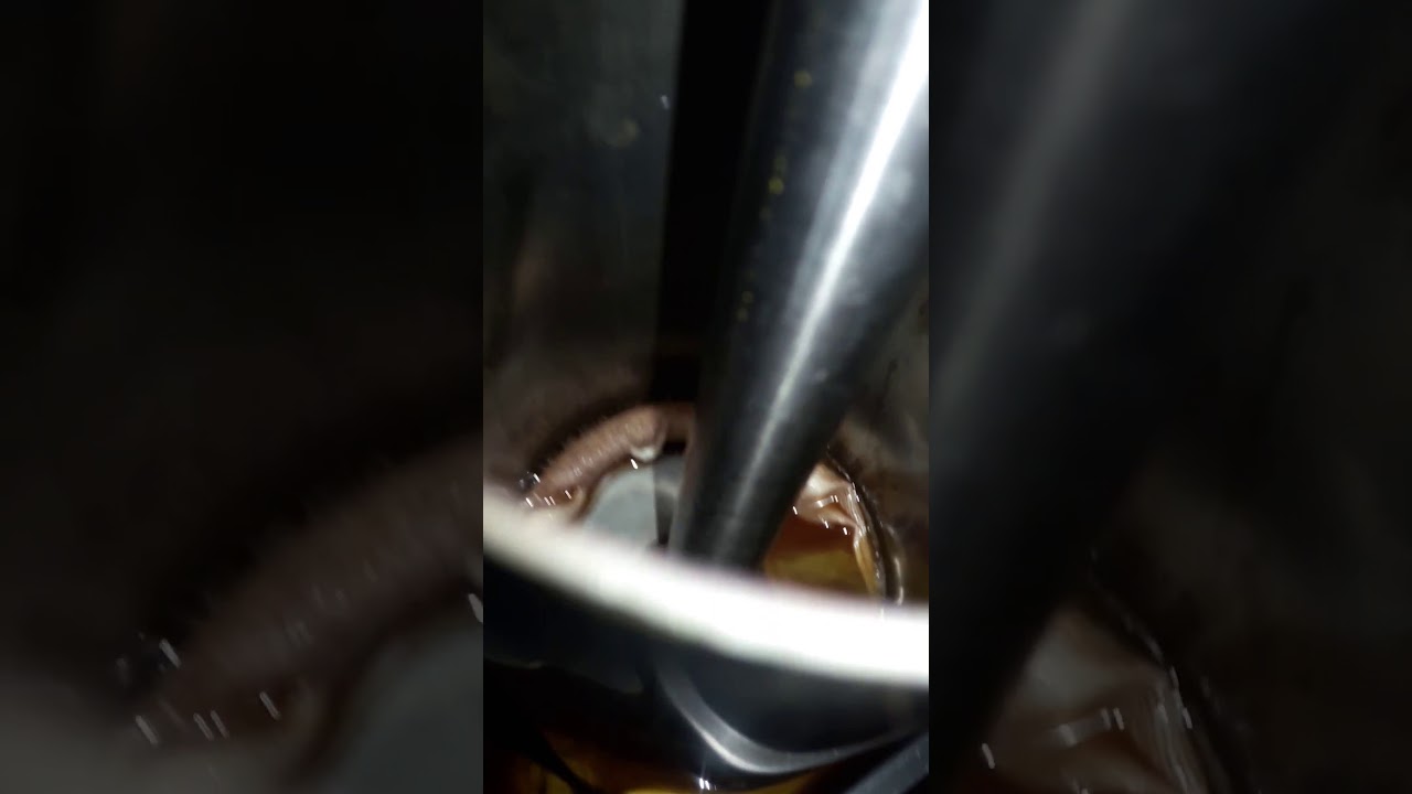 Extracción manteca De CACAO EN FRIO. YouTube Extracción manteca De CACAO EN FRIO. YouTube