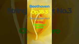 Beethoven Op.18-3 String Quartet No.3 1st Mov.(Chiaroscuro Quartet)