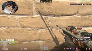 awp 5kill