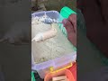 Corndog mozzarella