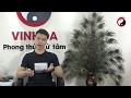 Tử Vi Ngày 20/3/2020 - Chỉ đích danh con giáp TRÚNG ĐẬM Liên Tiếp mở tiệc khao cả làng