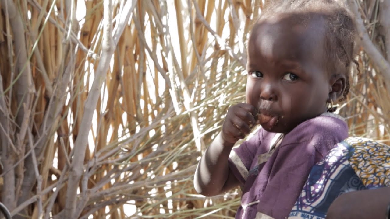 This Week at the UN – 13 February 2015