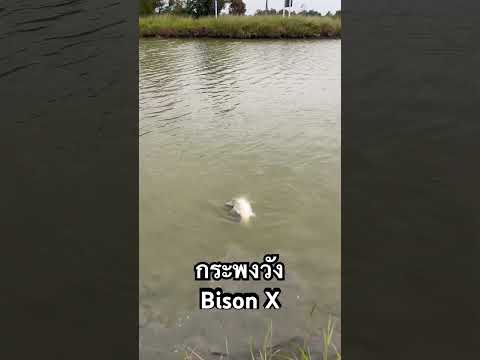 ผลสลากกินแบ่งรัฐบาล วันที่ 1 พย. 2567