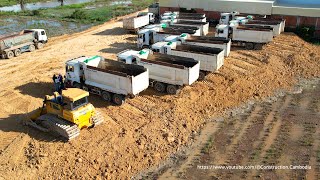 Full Video - Amazing Power Shantui Dozer Pushing Dirt & Shacman Dump Trucks Unload Dirt In Mud Field