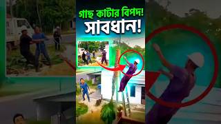 গাছ কাটার অদ্ভুত সব টেকনিক এবং কিছু মারাত্মক দুর্ঘটনা। #facts #amazingfacts