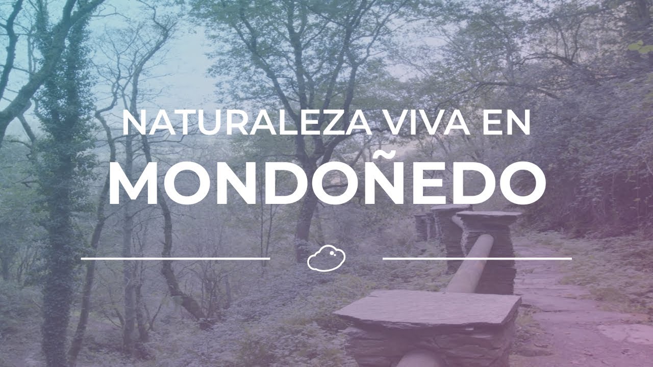 Naturaleza viva en Mondoñedo