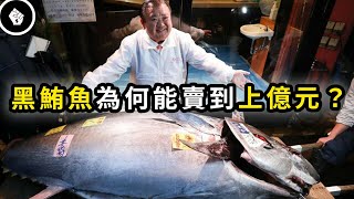 被西方人當成「垃圾」的黑鮪魚，到了日本卻身價破億！