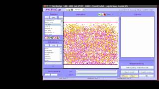 [FR]Tutoriel NetBiodyn : la fermentation alcoolique