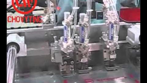 CW-800BFS bread bag making machine