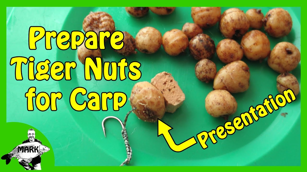 Preparing Tiger Nuts for Carp Fishing 