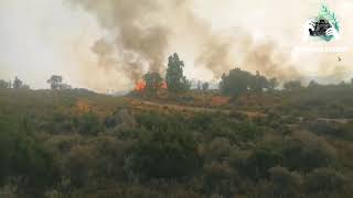 حريق في غابة بوهاشيم بني عروس إقليم العرائش مولاي عبد سلام
