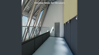 Stellar Elevators
